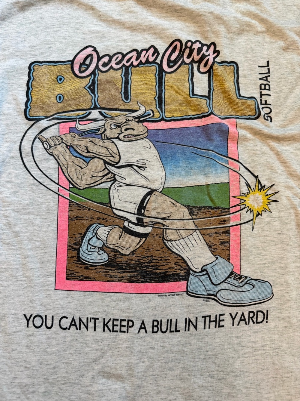 Vintage 90s Ocean City Maryland T-shirt Bull Softball